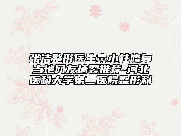 张洁整形医生鼻小柱修复当地网友墙裂推荐-河北医科大学第二医院整形科