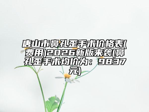 唐山市鼻孔歪手术价格表(费用)2026新版来袭(鼻孔歪手术均价为：9837元)