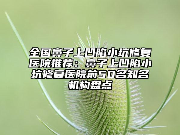 全国鼻子上凹陷小坑修复医院推荐：鼻子上凹陷小坑修复医院前50名知名机构盘点