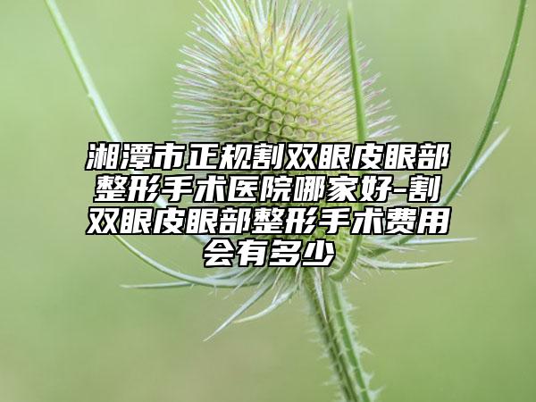湘潭市正规割双眼皮眼部整形手术医院哪家好-割双眼皮眼部整形手术费用会有多少