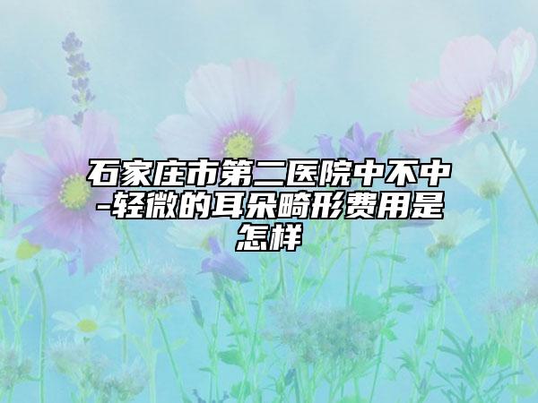 石家庄市第二医院中不中-轻微的耳朵畸形费用是怎样