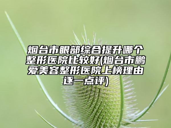烟台市眼部综合提升哪个整形医院比较好(烟台市鹏爱美容整形医院上榜理由逐一点评)
