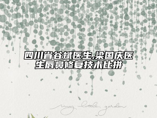 四川省谷斌医生,梁国庆医生唇鼻修复技术比拼