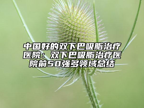 中国好的双下巴吸脂治疗医院：双下巴吸脂治疗医院前50强多领域总结
