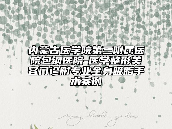 内蒙古医学院第三附属医院包钢医院-医学整形美容门诊附专业全身吸脂手术案例