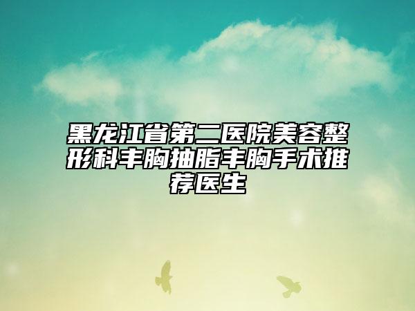 黑龙江省第二医院美容整形科丰胸抽脂丰胸手术推荐医生