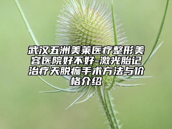 武汉五洲美莱医疗整形美容医院好不好-激光胎记治疗天脱痂手术方法与价格介绍