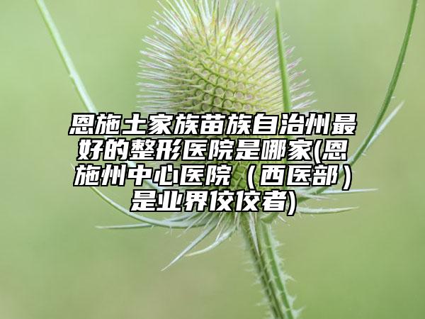 恩施土家族苗族自治州最好的整形医院是哪家(恩施州中心医院（西医部）是业界佼佼者)