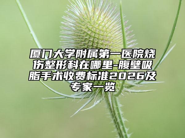 厦门大学附属第一医院烧伤整形科在哪里-腹壁吸脂手术收费标准2026及专家一览