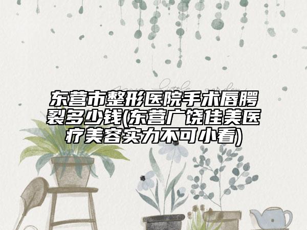 东营市整形医院手术唇腭裂多少钱(东营广饶佳美医疗美容实力不可小看)