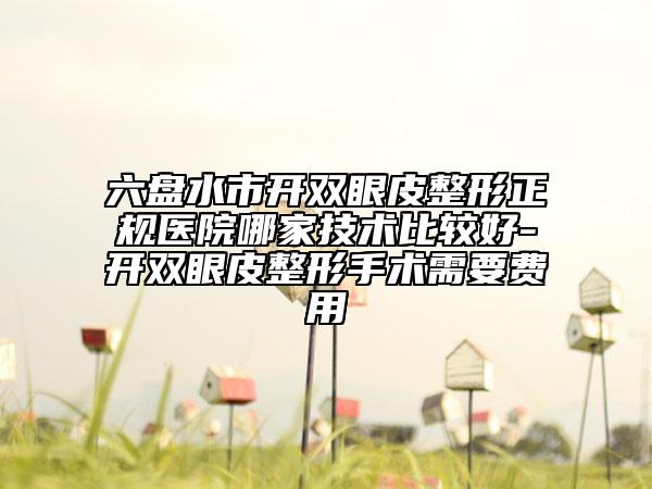 六盘水市开双眼皮整形正规医院哪家技术比较好-开双眼皮整形手术需要费用