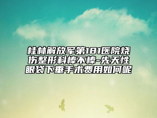 桂林解放军第181医院烧伤整形科棒不棒-先天性眼袋下垂手术费用如何呢