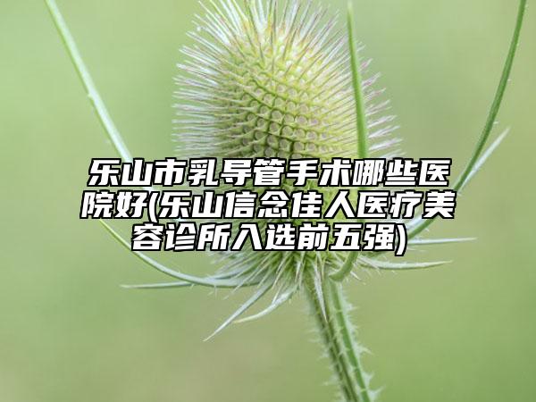 乐山市乳导管手术哪些医院好(乐山信念佳人医疗美容诊所入选前五强)