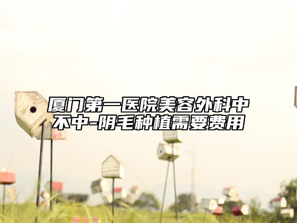 厦门第一医院美容外科中不中-阴毛种植需要费用