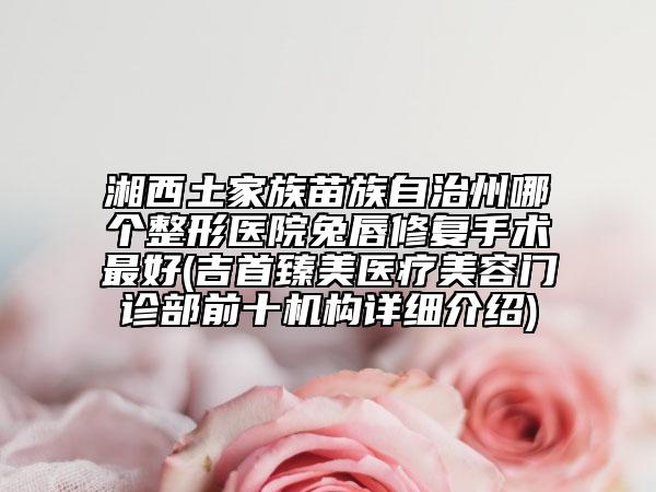 湘西土家族苗族自治州哪个整形医院兔唇修复手术最好(吉首臻美医疗美容门诊部前十机构详细介绍)