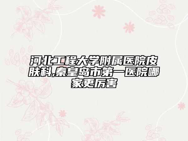 河北工程大学附属医院皮肤科,秦皇岛市第一医院哪家更厉害