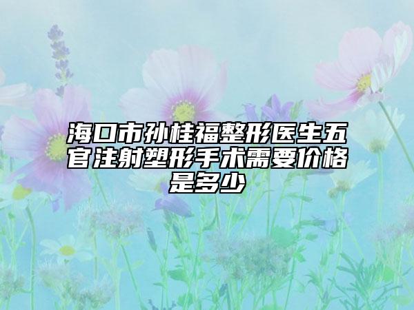 海口市孙桂福整形医生五官注射塑形手术需要价格是多少