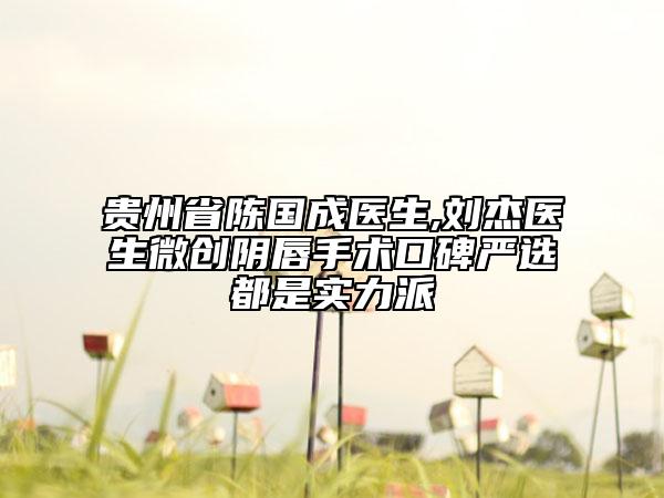 贵州省陈国成医生,刘杰医生微创阴唇手术口碑严选都是实力派