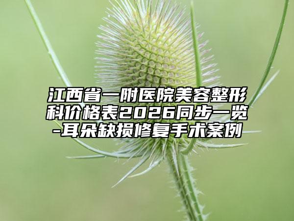 江西省一附医院美容整形科价格表2026同步一览-耳朵缺损修复手术案例
