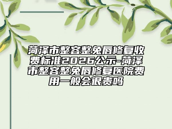 菏泽市整容整兔唇修复收费标准2026公示-菏泽市整容整兔唇修复医院费用一般会很贵吗
