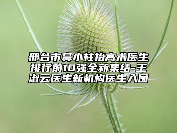 邢台市鼻小柱抬高术医生排行前10强全新集结-王淑云医生新机构医生入围