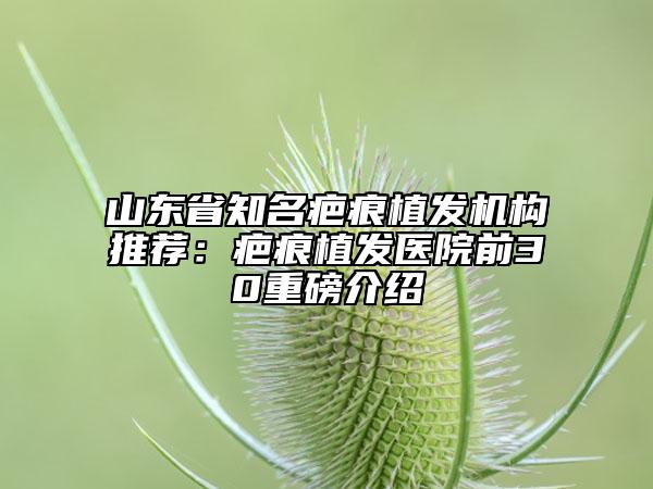 山东省知名疤痕植发机构推荐：疤痕植发医院前30重磅介绍
