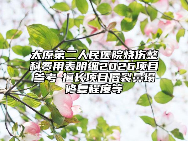 太原第二人民医院烧伤整科费用表明细2026项目参考-擅长项目唇裂鼻塌修复程度等