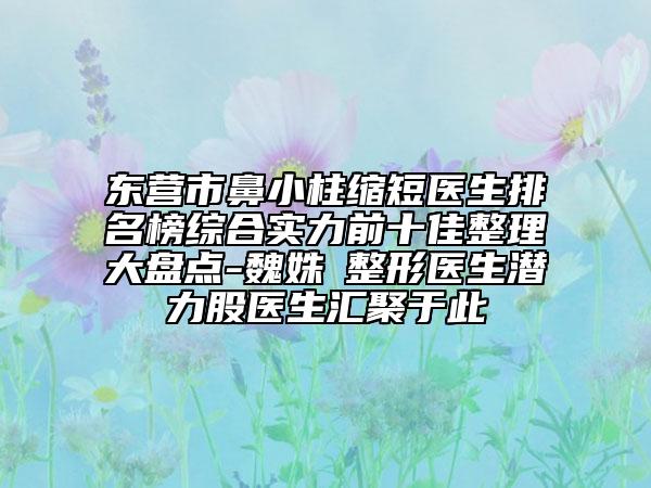 东营市鼻小柱缩短医生排名榜综合实力前十佳整理大盘点-魏姝玥整形医生潜力股医生汇聚于此
