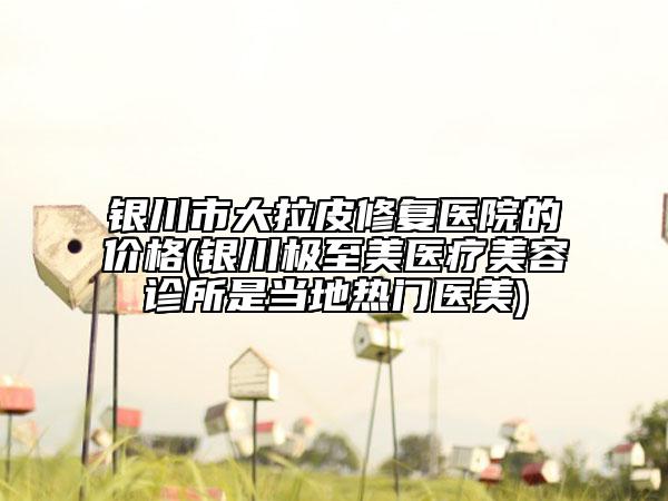 银川市大拉皮修复医院的价格(银川极至美医疗美容诊所是当地热门医美)