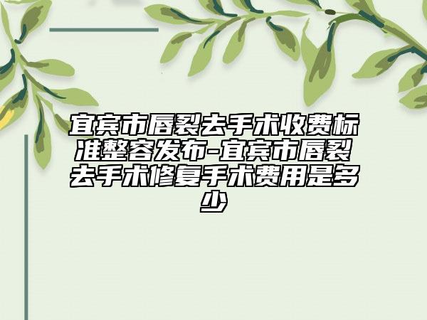 宜宾市唇裂去手术收费标准整容发布-宜宾市唇裂去手术修复手术费用是多少