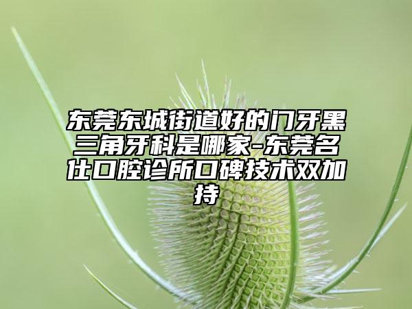 东莞东城街道好的门牙黑三角牙科是哪家-东莞名仕口腔诊所口碑技术双加持