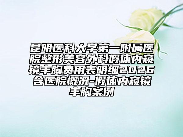 昆明医科大学第一附属医院整形美容外科假体内窥镜丰胸费用表明细2026含医院概况-假体内窥镜丰胸案例