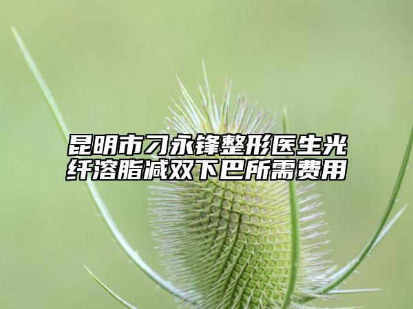 昆明市刁永锋整形医生光纤溶脂减双下巴所需费用