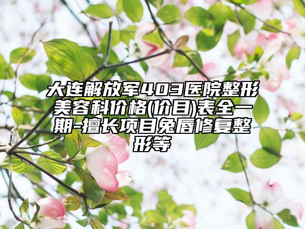 大连解放军403医院整形美容科价格(价目)表全一期-擅长项目兔唇修复整形等