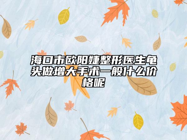海口市欧阳婕整形医生龟头做增大手术一般什么价格呢