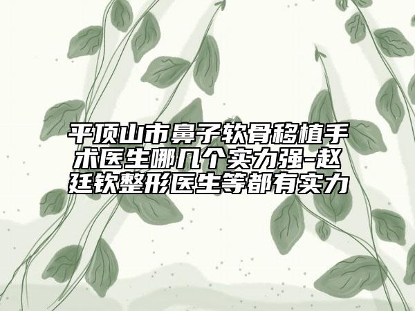 平顶山市鼻子软骨移植手术医生哪几个实力强-赵廷钦整形医生等都有实力