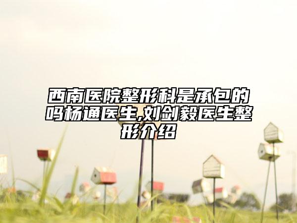 西南医院整形科是承包的吗杨通医生,刘剑毅医生整形介绍