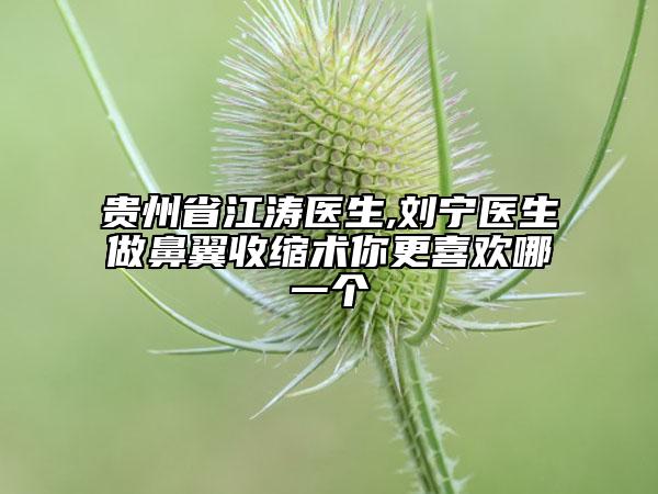 贵州省江涛医生,刘宁医生做鼻翼收缩术你更喜欢哪一个