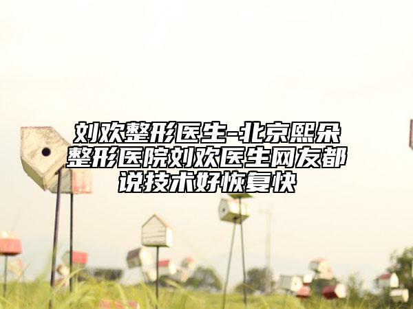 刘欢整形医生-北京熙朵整形医院刘欢医生网友都说技术好恢复快