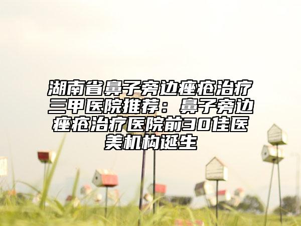湖南省鼻子旁边痤疮治疗三甲医院推荐：鼻子旁边痤疮治疗医院前30佳医美机构诞生