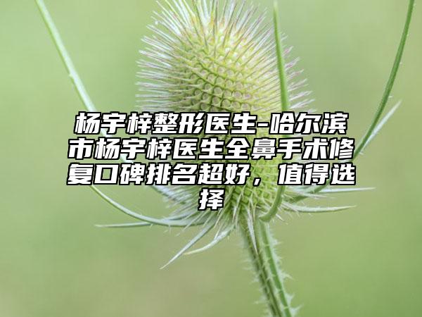 杨宇梓整形医生-哈尔滨市杨宇梓医生全鼻手术修复口碑排名超好，值得选择