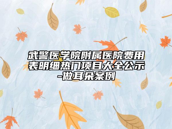 武警医学院附属医院费用表明细热门项目大全公示-做耳朵案例