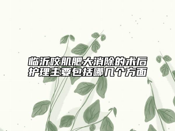 临沂咬肌肥大消除的术后护理主要包括哪几个方面