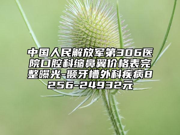 中国人民解放军第306医院口腔科缩鼻翼价格表完整曝光-颞牙槽外科疾病8256-24932元