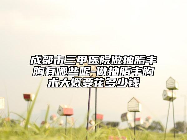 成都市三甲医院做抽脂丰胸有哪些呢-做抽脂丰胸术大概要花多少钱