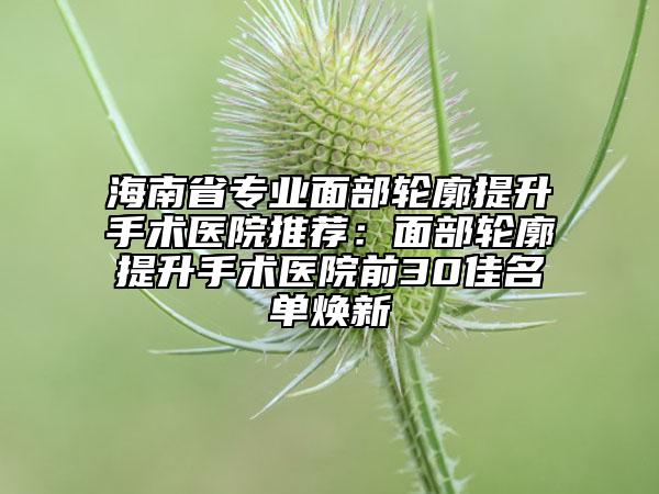海南省专业面部轮廓提升手术医院推荐：面部轮廓提升手术医院前30佳名单焕新