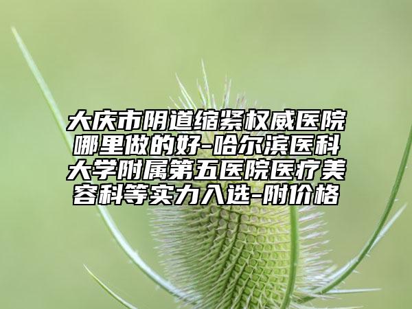 大庆市阴道缩紧权威医院哪里做的好-哈尔滨医科大学附属第五医院医疗美容科等实力入选-附价格