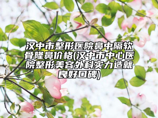 汉中市整形医院鼻中隔软骨隆鼻价格(汉中市中心医院整形美容外科实力造就良好口碑)