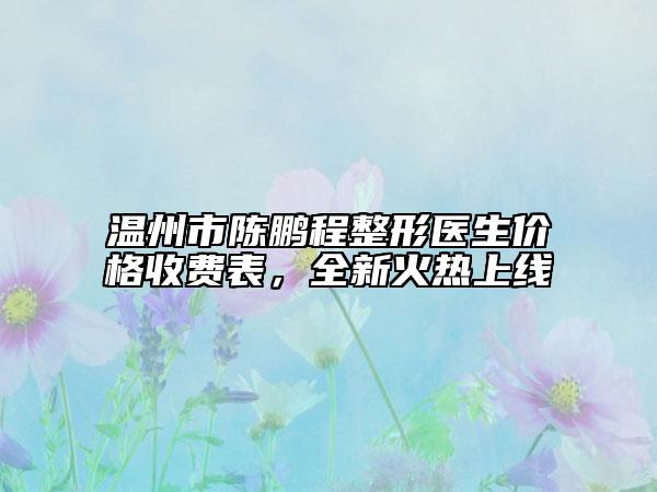 温州市陈鹏程整形医生价格收费表，全新火热上线