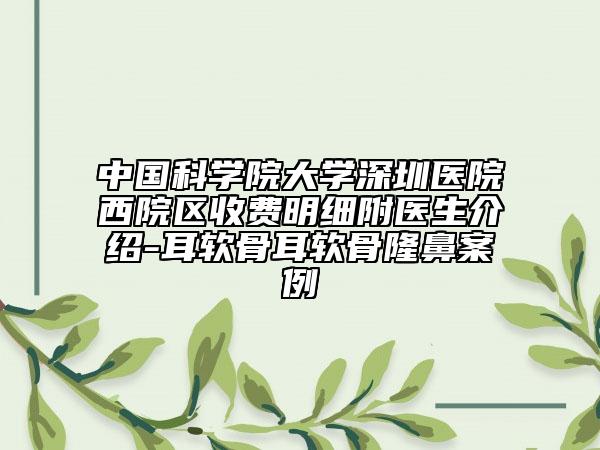 中国科学院大学深圳医院西院区收费明细附医生介绍-耳软骨耳软骨隆鼻案例